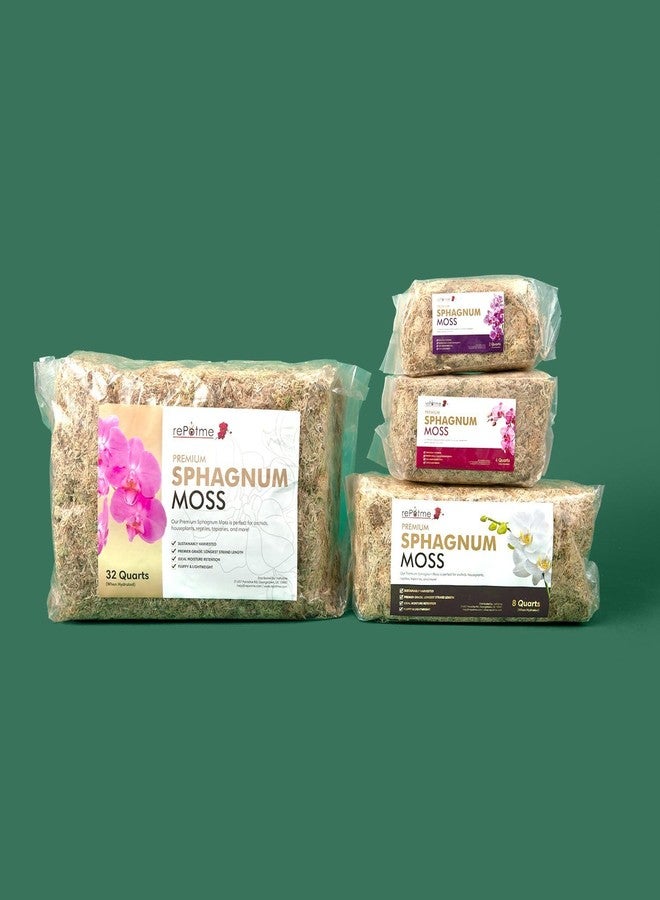 rePotme Premium Organic Sphagnum Moss, Orchid Moss - 2 Quarts (When Hydrated) - Image 3